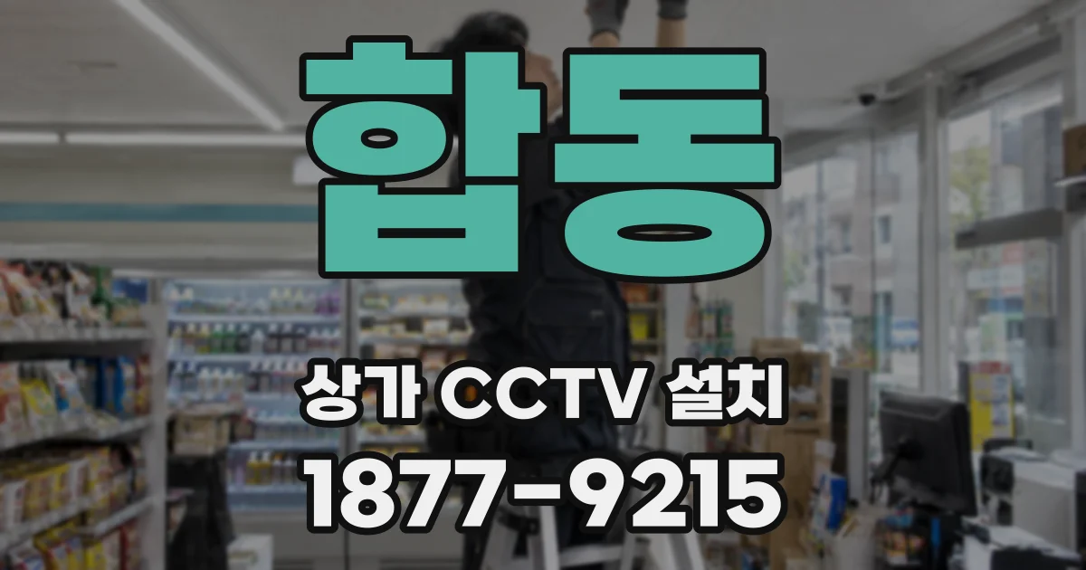 합동 상가 CCTV 설치