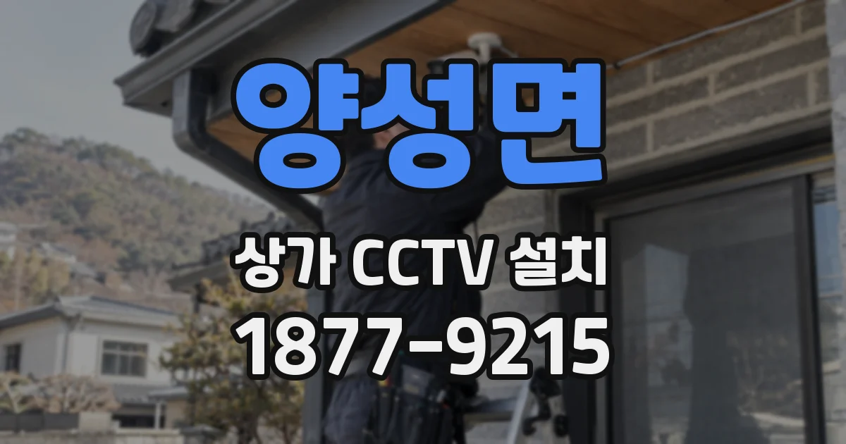 양성면 상가 CCTV 설치