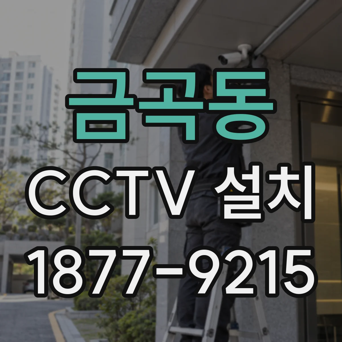 금곡동 CCTV 설치