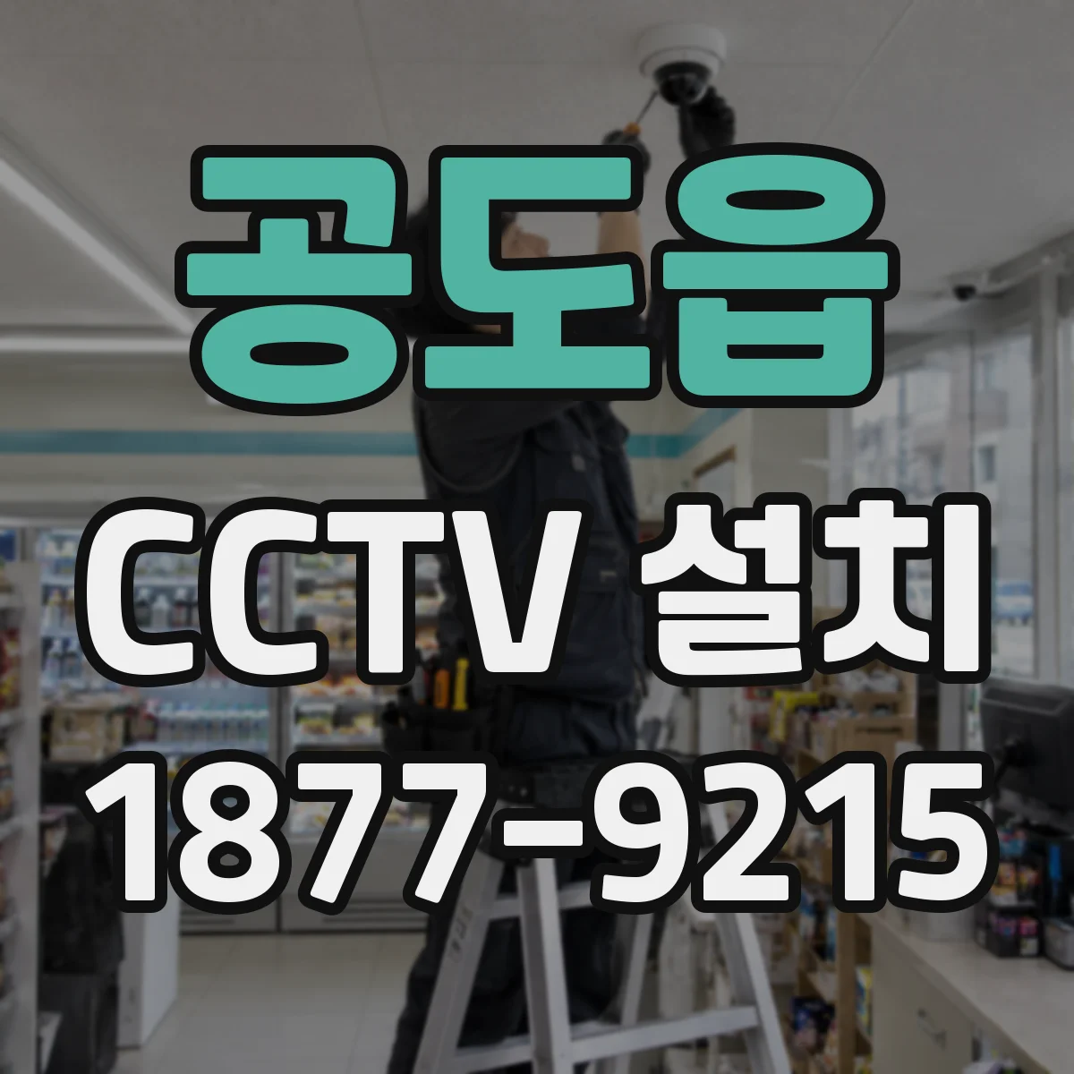 공도읍 CCTV 설치