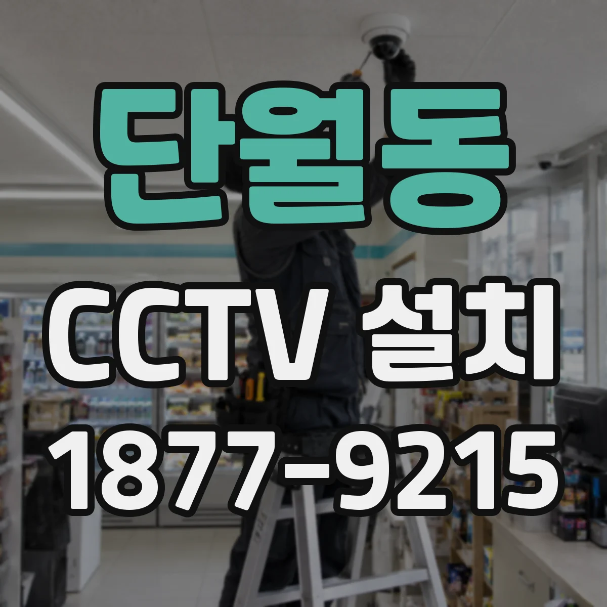 단월동 CCTV 설치
