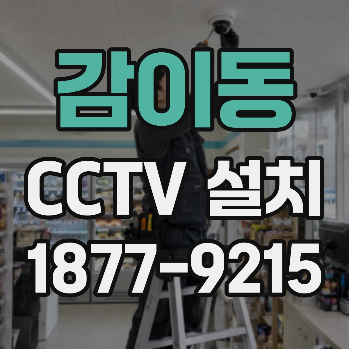 감이동 CCTV 설치