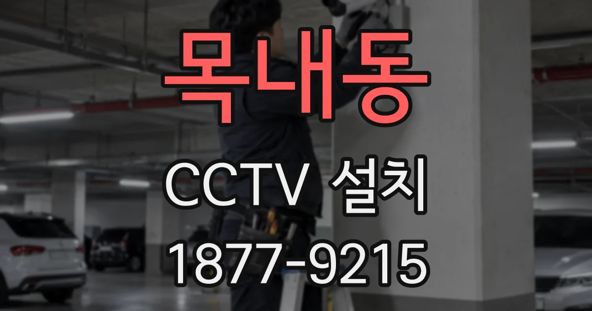 목내동 CCTV 설치