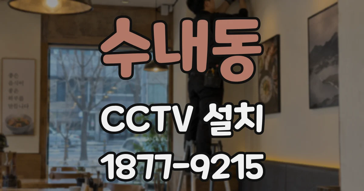 수내동 CCTV 설치