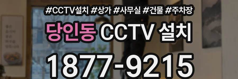 당인동 CCTV 설치
