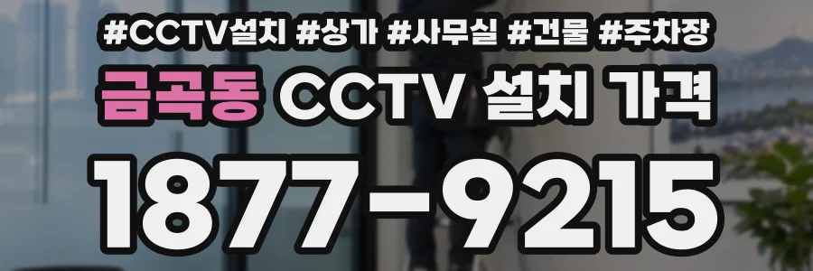 금곡동 CCTV 설치 가격