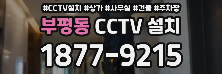 부평동 CCTV 설치
