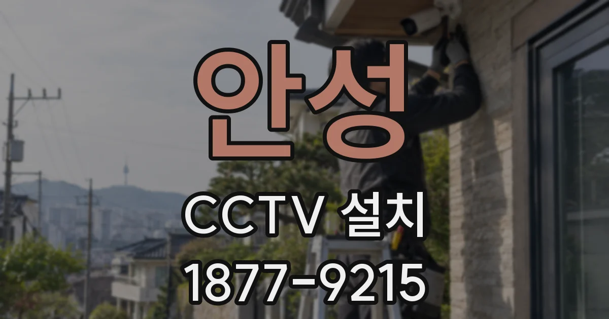 안성 CCTV 설치