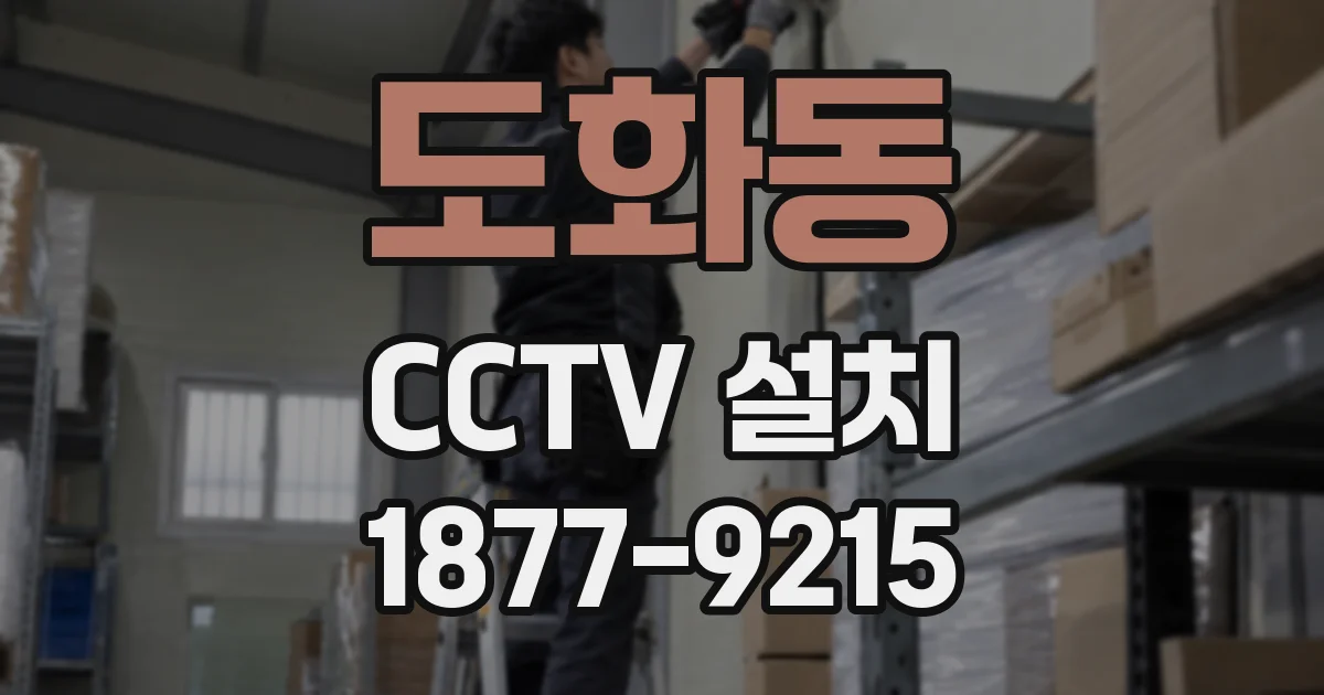 도화동 CCTV 설치