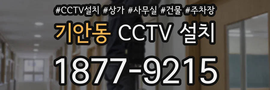 기안동 CCTV 설치