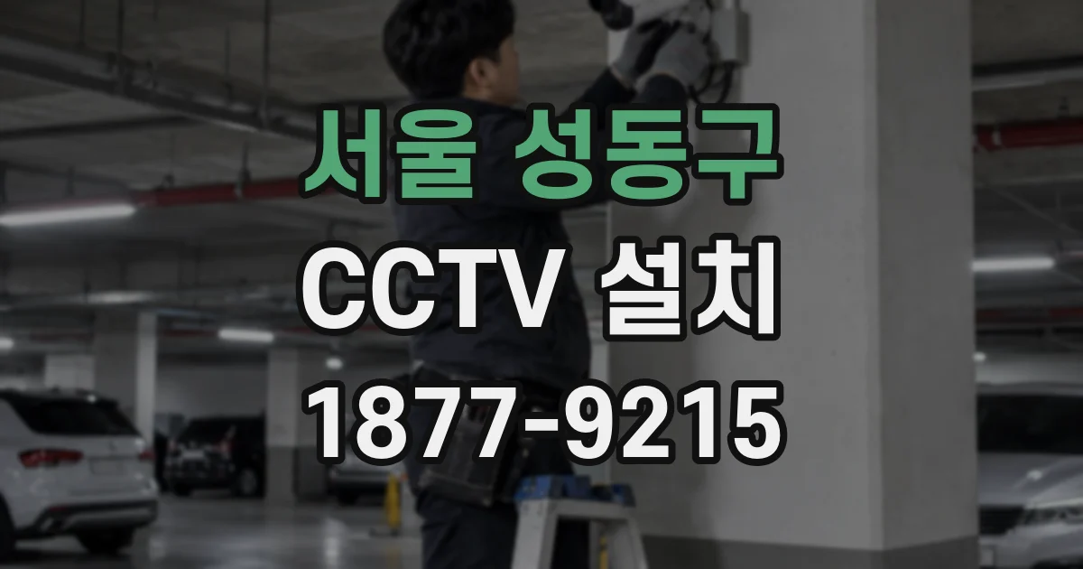 서울 성동구 CCTV 설치