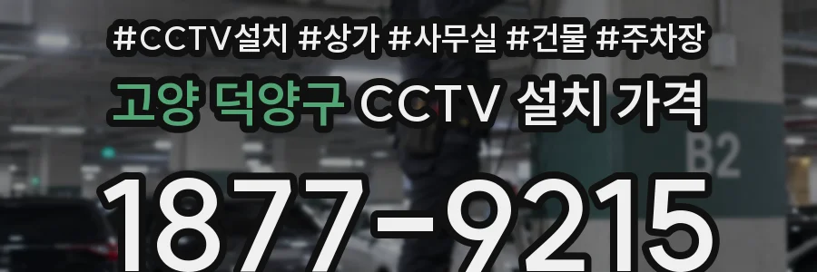 고양 덕양구 CCTV 설치 가격