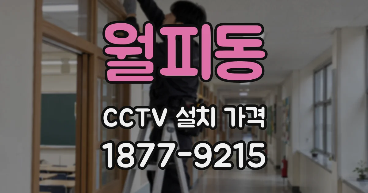월피동 CCTV 설치 가격