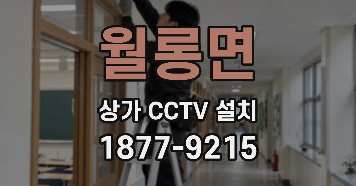 월롱면 상가 CCTV 설치