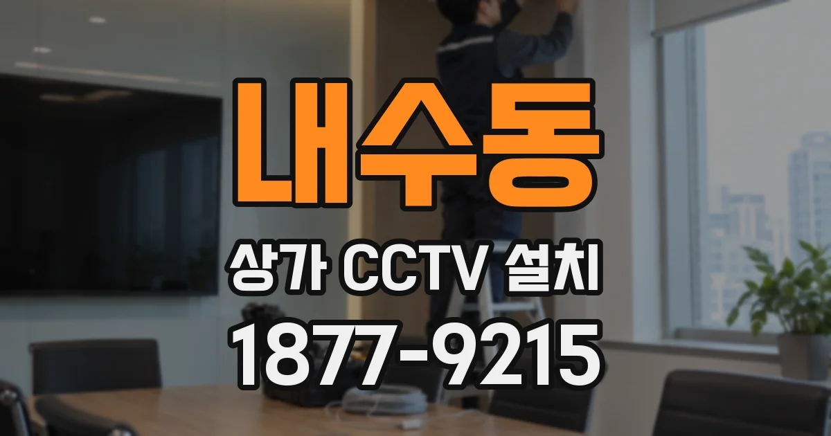 내수동 상가 CCTV 설치