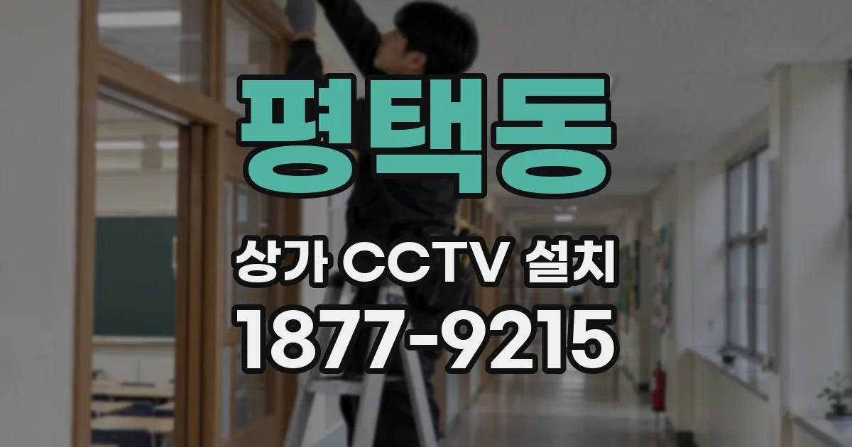 평택동 상가 CCTV 설치