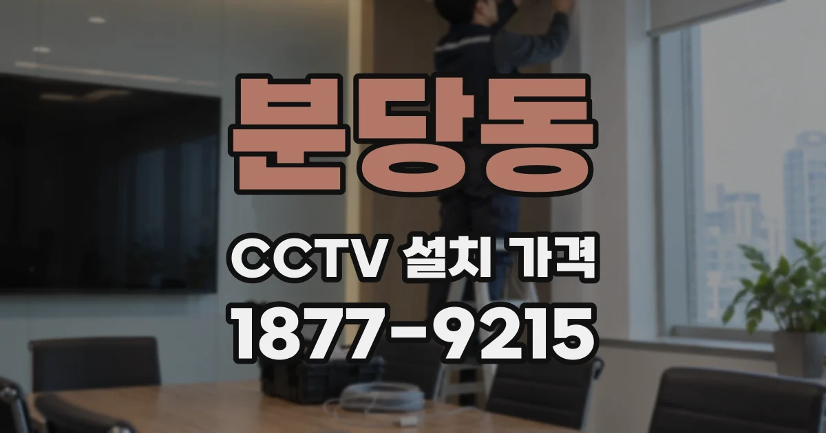 분당동 CCTV 설치 가격