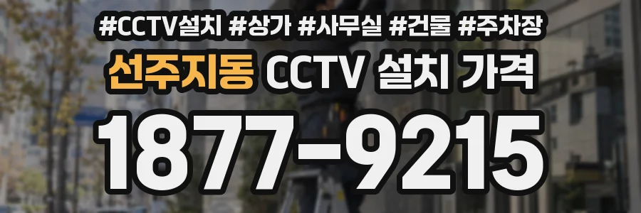 선주지동 CCTV 설치 가격