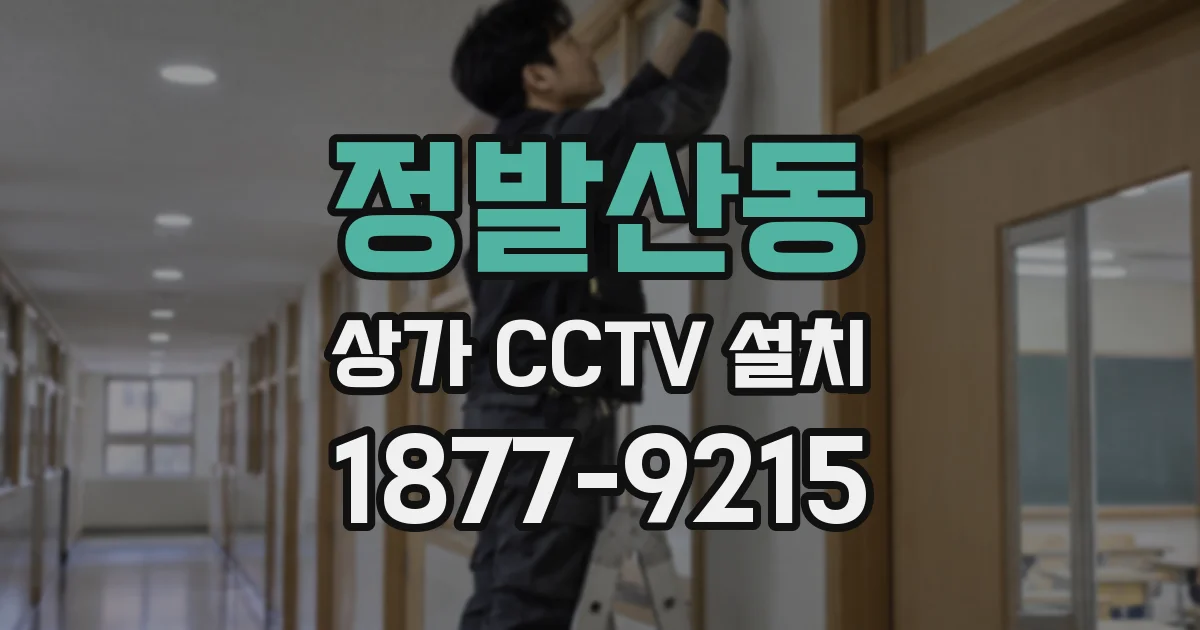 정발산동 상가 CCTV 설치