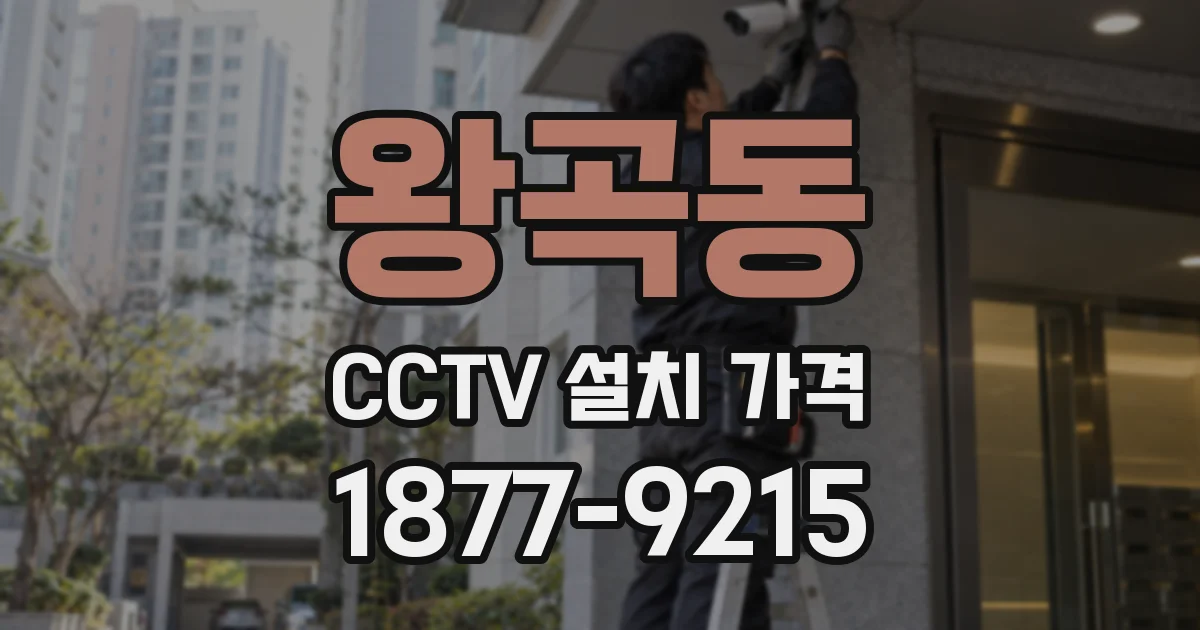왕곡동 CCTV 설치 가격