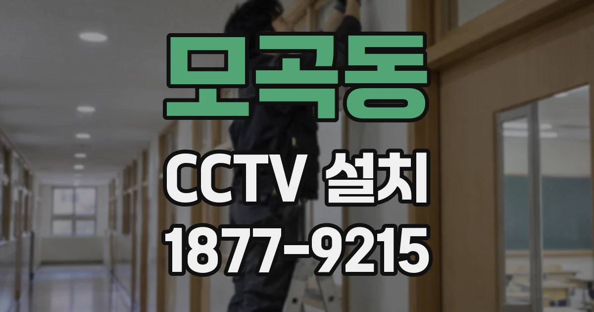 모곡동 CCTV 설치