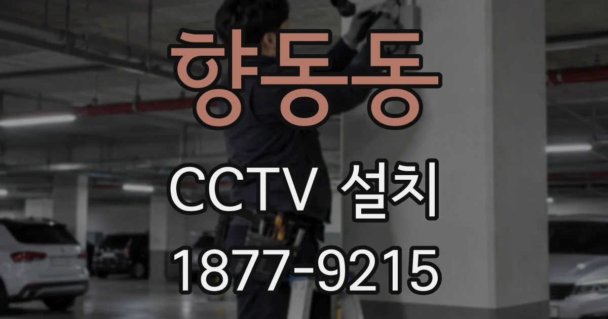 향동동 CCTV 설치