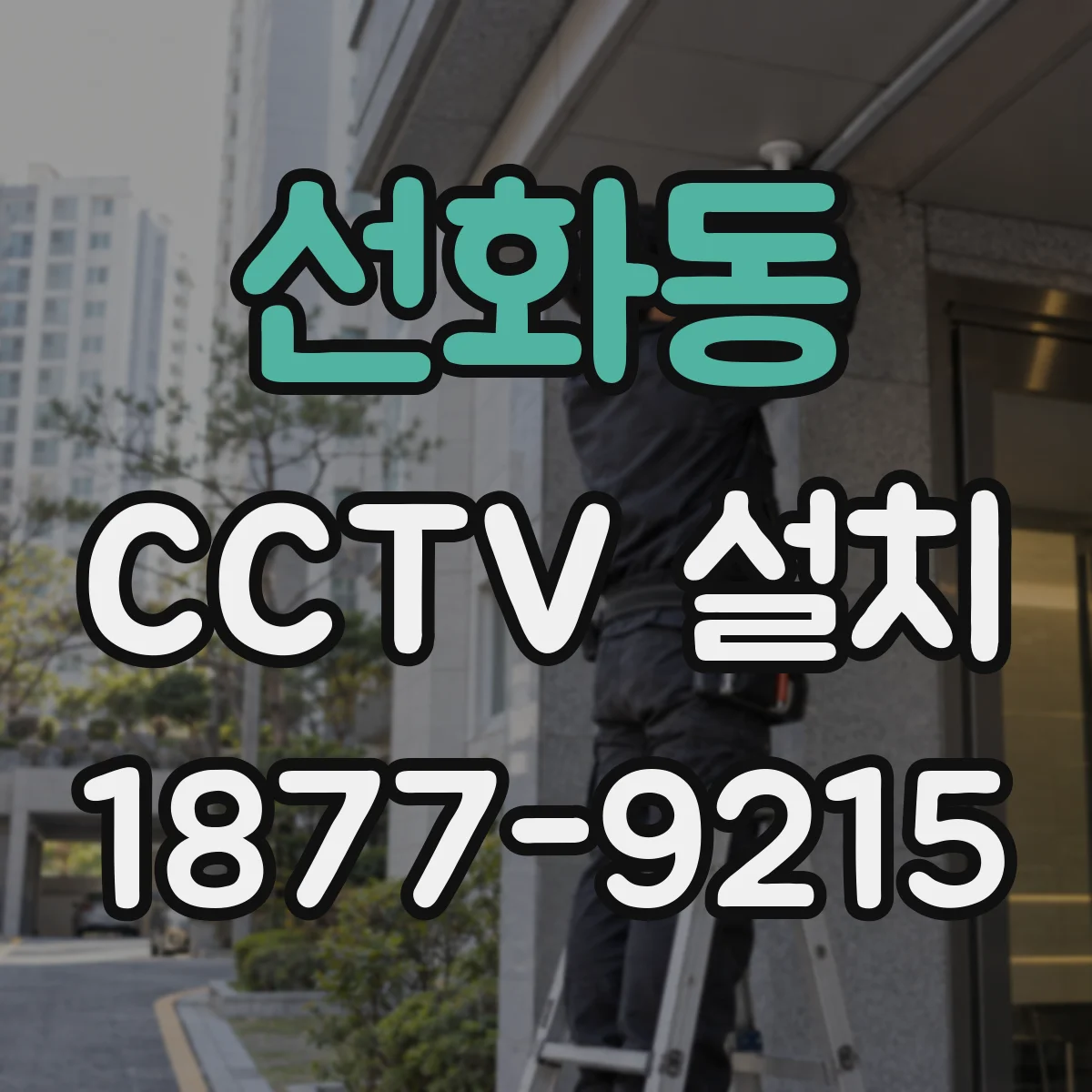 선화동 CCTV 설치