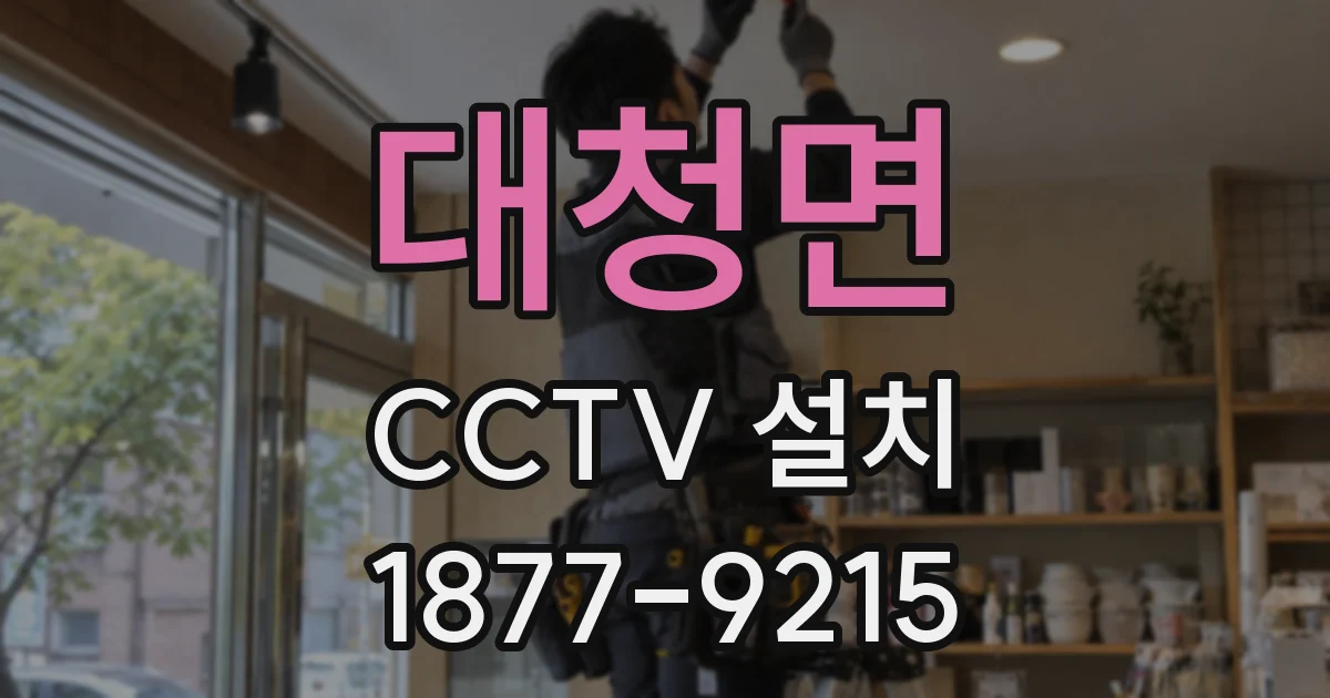 대청면 CCTV 설치