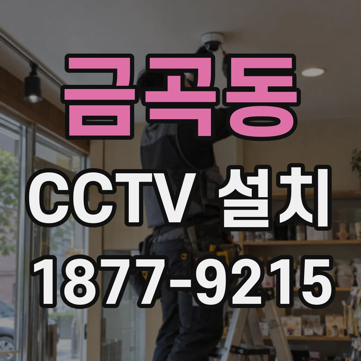 금곡동 CCTV 설치