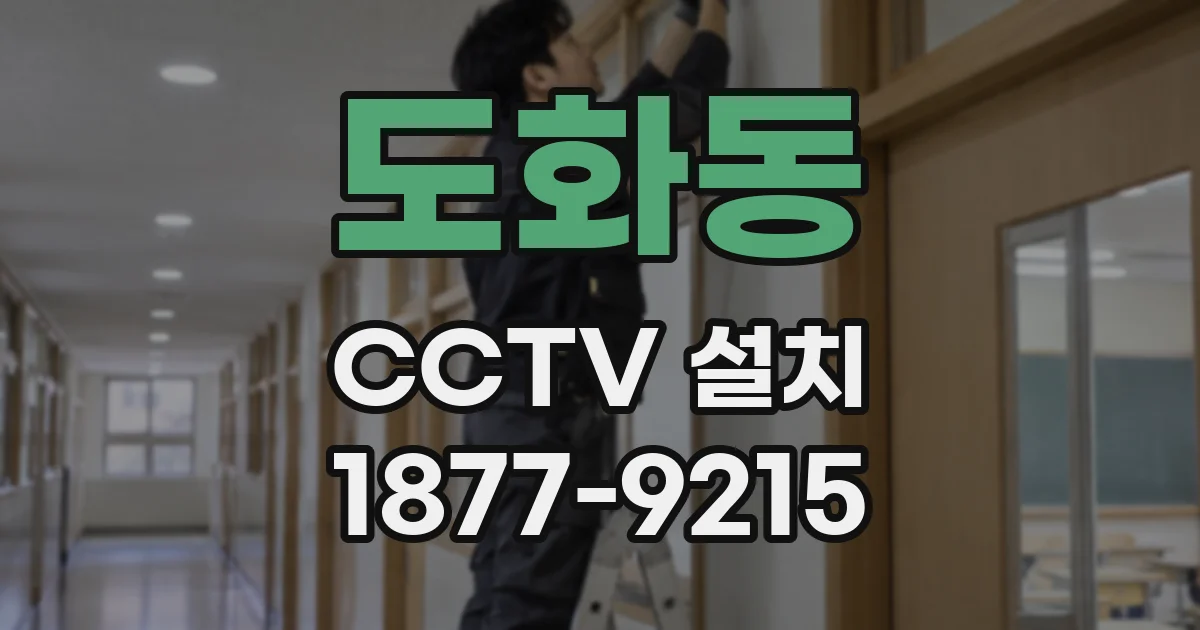 도화동 CCTV 설치