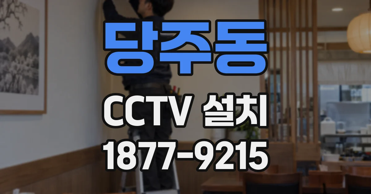 당주동 CCTV 설치