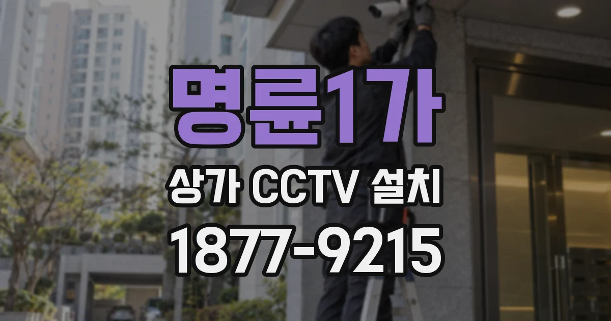 명륜1가 상가 CCTV 설치