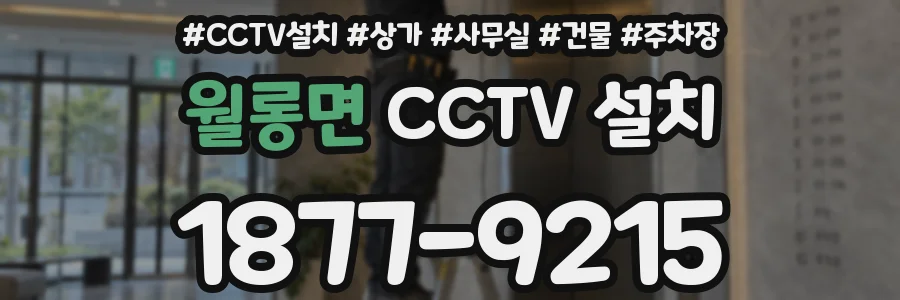 월롱면 CCTV 설치