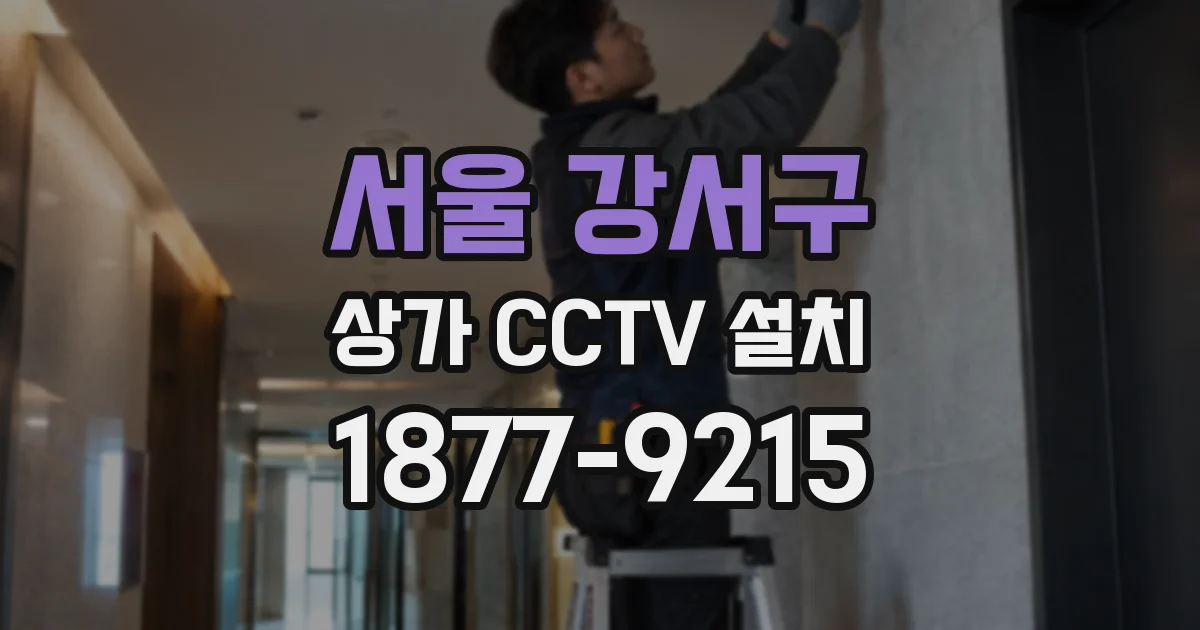서울 강서구 상가 CCTV 설치