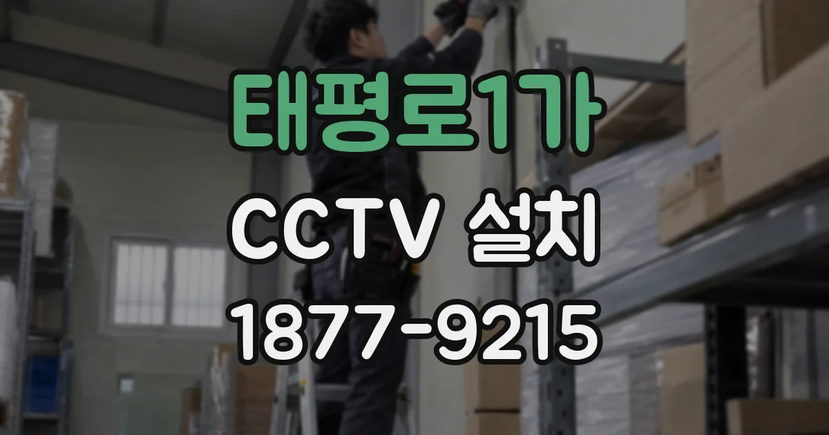 태평로1가 CCTV 설치