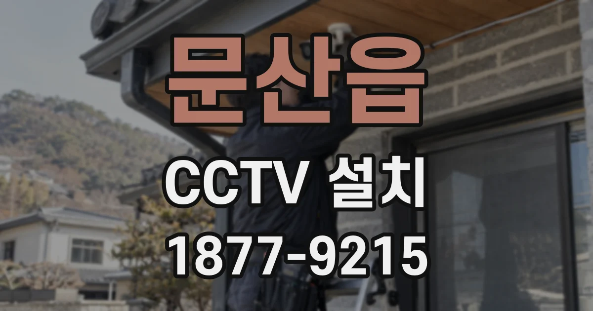 문산읍 CCTV 설치