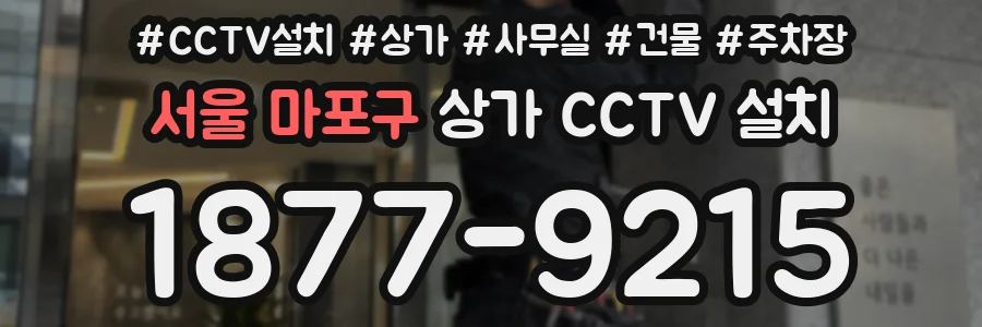 서울 마포구 상가 CCTV 설치