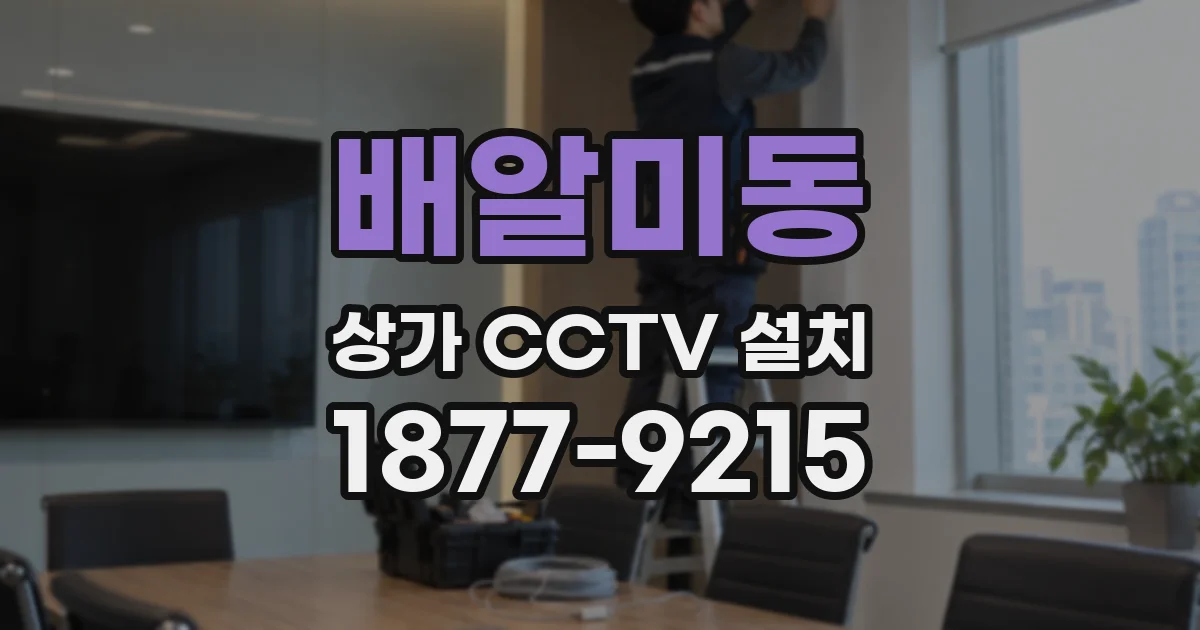 배알미동 상가 CCTV 설치