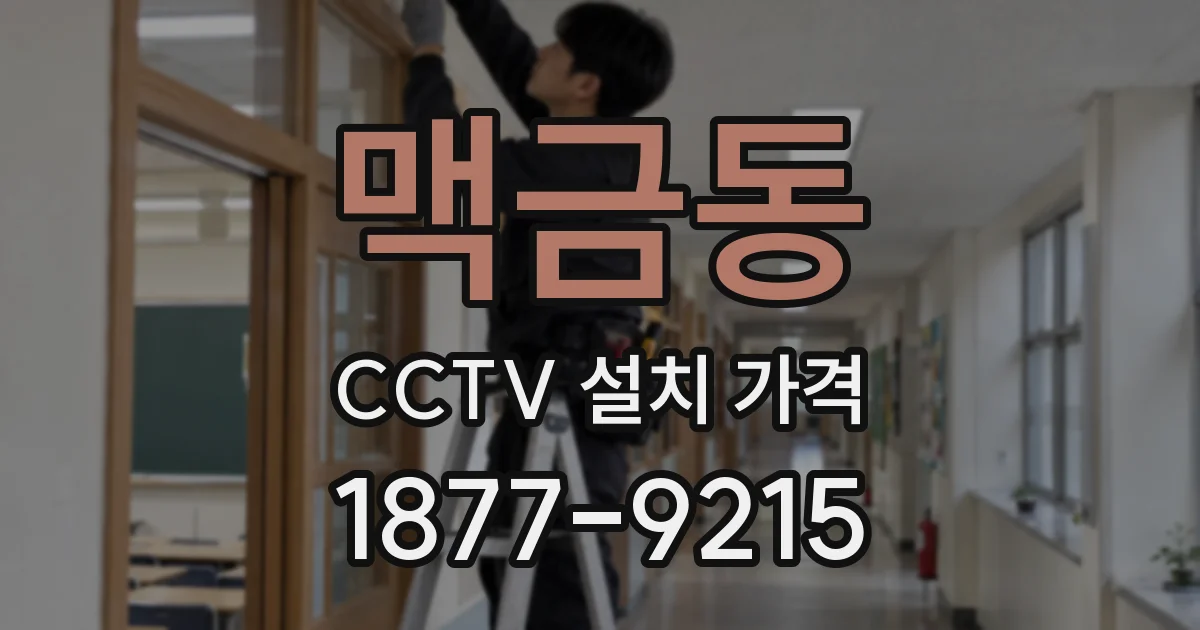 맥금동 CCTV 설치 가격