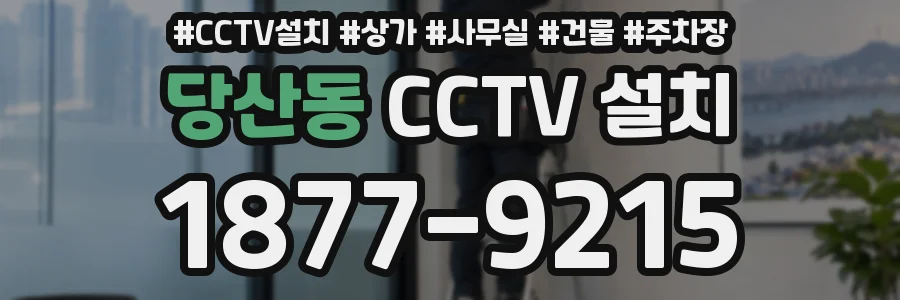 당산동 CCTV 설치