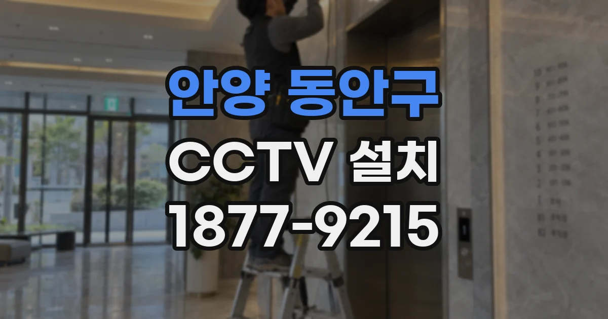 안양 동안구 CCTV 설치