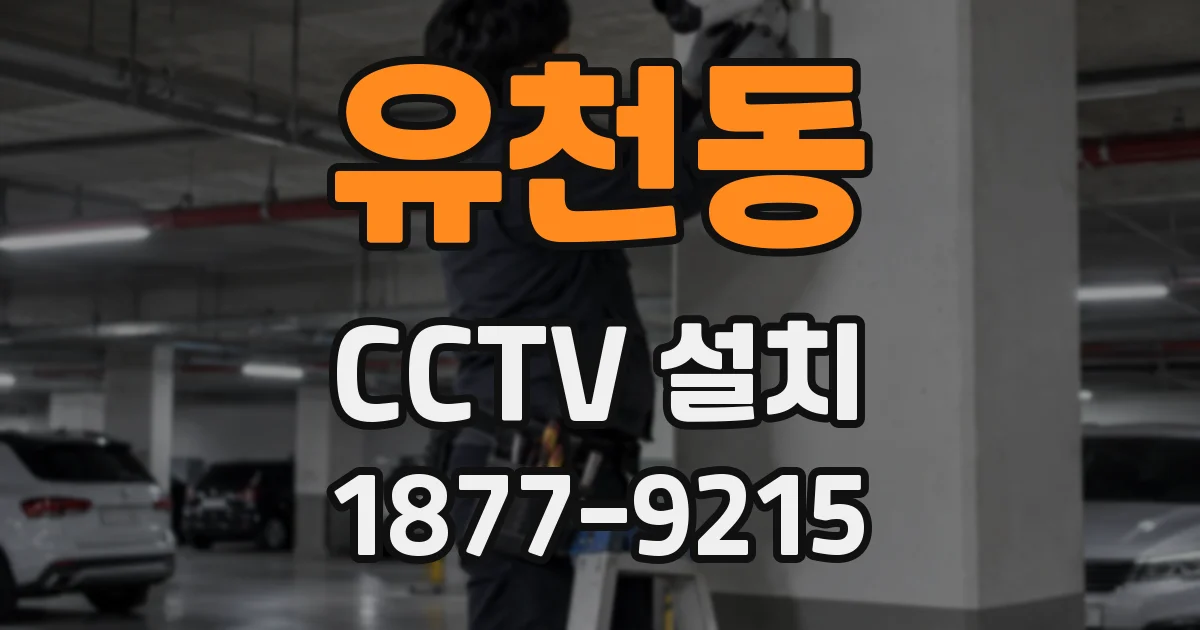 유천동 CCTV 설치