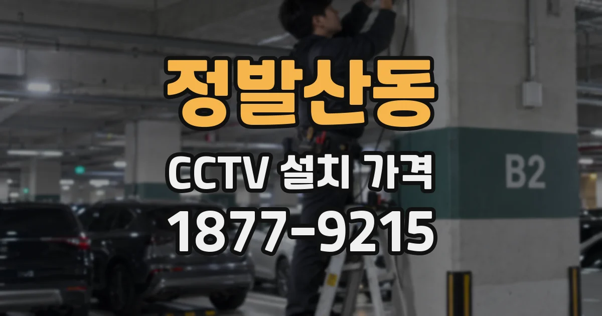 정발산동 CCTV 설치 가격