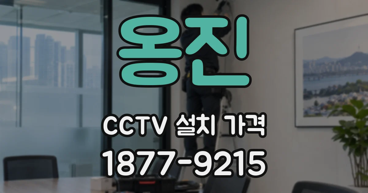 옹진 CCTV 설치 가격