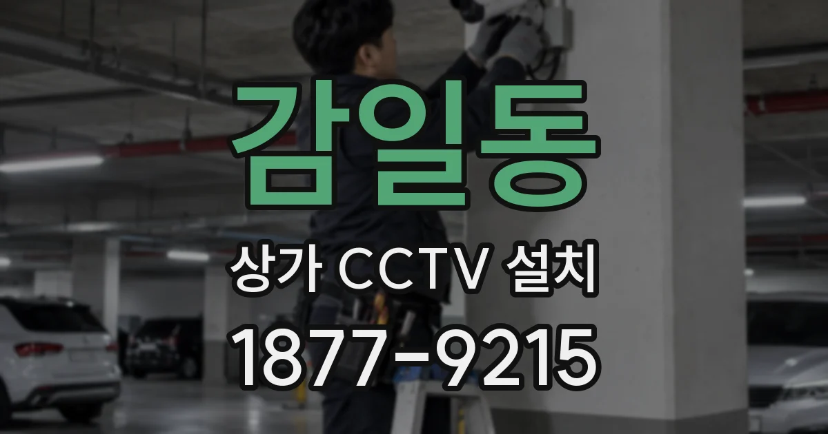 감일동 상가 CCTV 설치