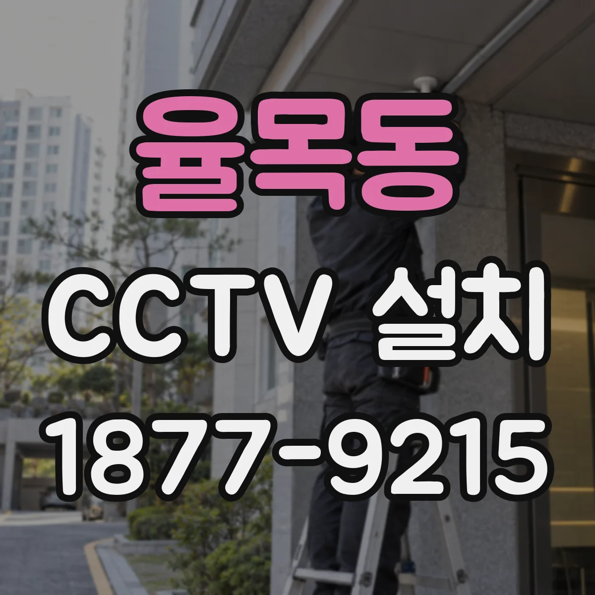 율목동 CCTV 설치