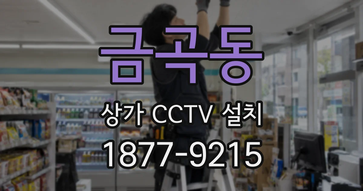 금곡동 상가 CCTV 설치