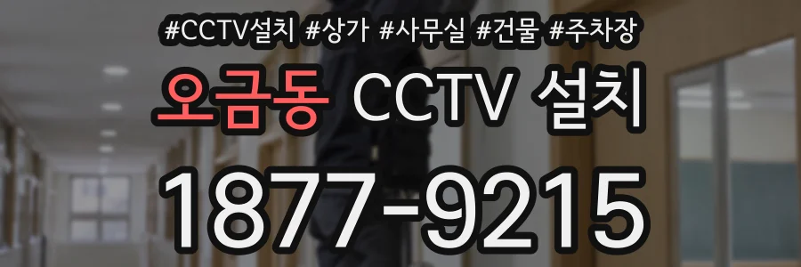 오금동 CCTV 설치