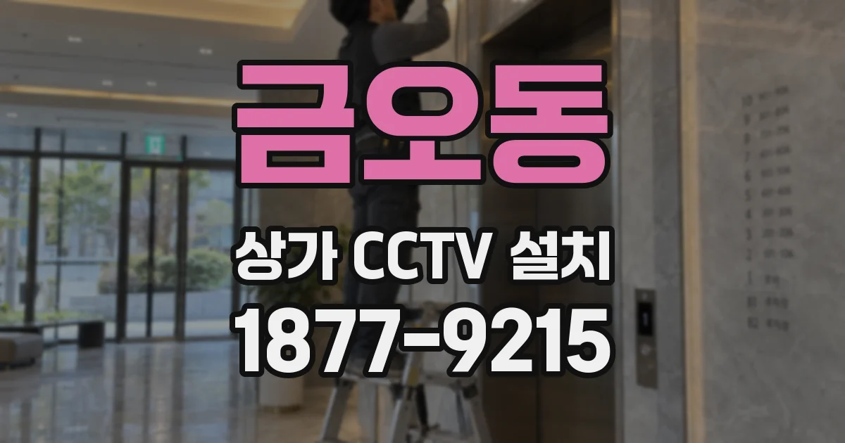 금오동 상가 CCTV 설치