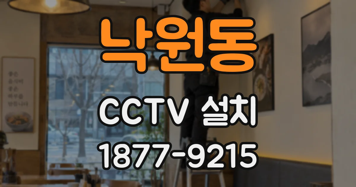 낙원동 CCTV 설치
